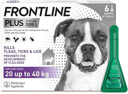 frontline plus spot on large dog 20 40kg, 6 pipettes frontline plus spot on large dog 20 40kg, 6 pipettes
